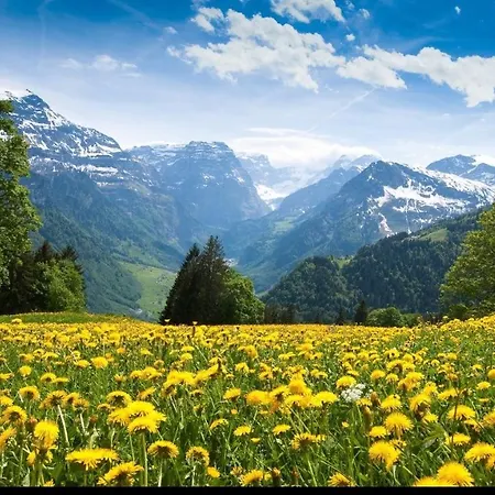 Les Balcons Proche Parc National Vanoise 2 Pieces 6 Pers Montagne Alp Termignon